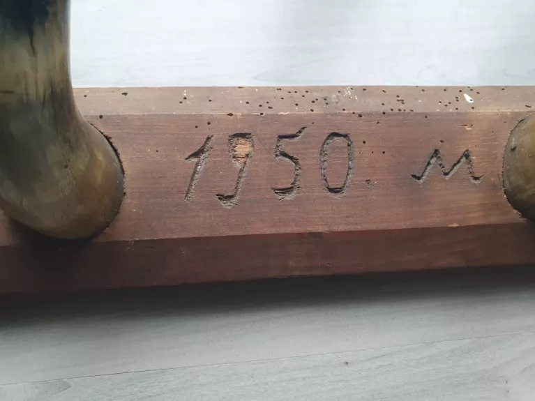 Kabykla su karvės ragais