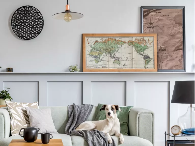 Žemės augmenijos žemėlapis 1932m. spalvota litografija „Meyers Lexikon