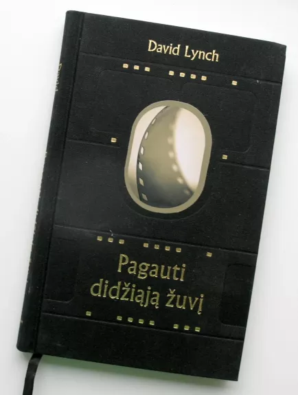 Pagauti didžiąją žuvį: meditacija, sąmonė, kūrybingumas