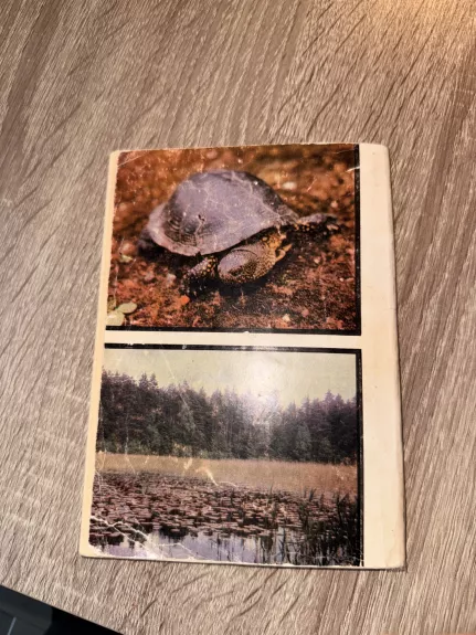 Susipažinkite: varliagyviai ir ropliai