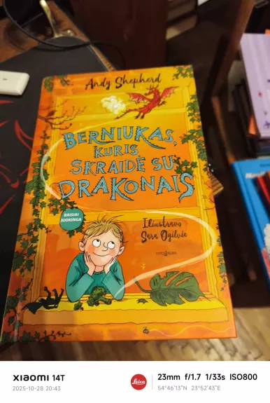 Berniukas, kuris skraidė su drakonais