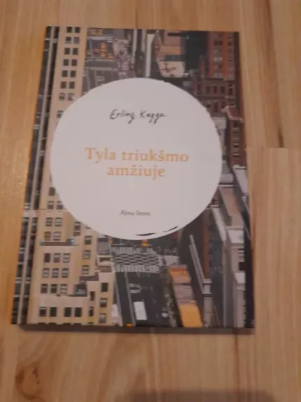 Tyla triukšmo amžiuje