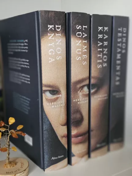 Herbjørg Wassmo 4 knygų rinkinys: Dinos knyga+Laimės sūnus+Karnos kraitis+Dinos testamentas