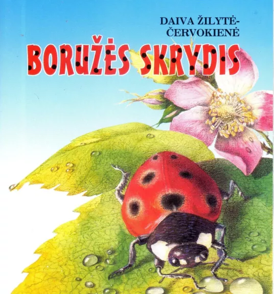 Boružės skrydis