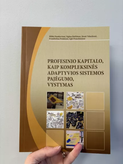 Profesinio kapitalo, kaip kompleksinės adaptyvios sistemos pajėgumo vystymas
