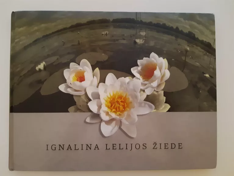 Ignalina lelijos žiede