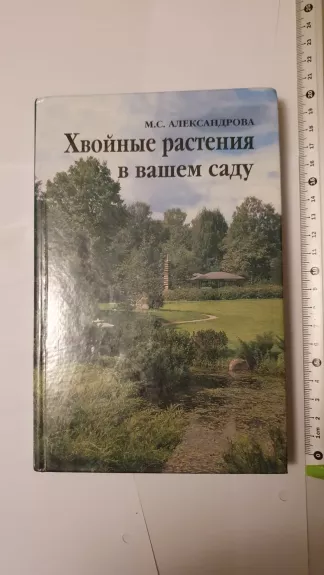 Chvojnyje rastenija v vashem sadu