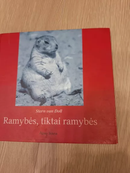 Ramybės, tiktai ramybės