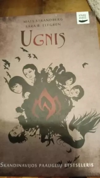 Ugnis. Skandinavijos paauglių bestseleris! Mats Strandberg , Sara B. Elfgren