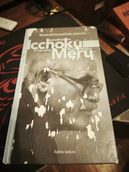 Besikartojančios erdvės. Pokalbiai su Icchoku Meru