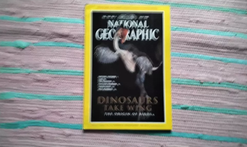 National geographic DINOSAURS TAKE WING