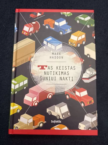 Tas keistas nutikimas šuniui naktį