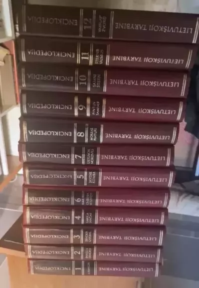 Lietuviškoji tarybinė enciklopedija