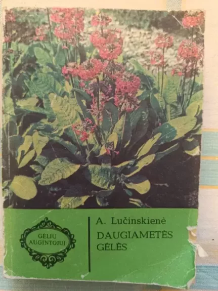 Daugiametės gėlės