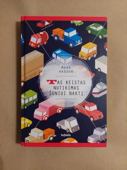 Tas keistas nutikimas šuniui naktį