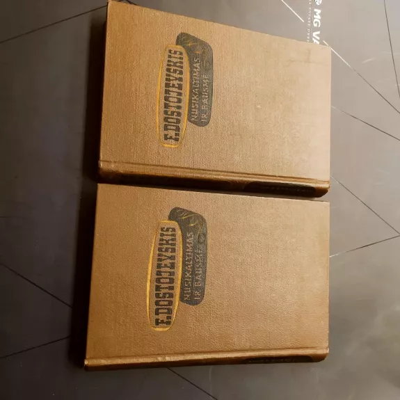 Nusikaltimas ir bausmė (2 knygos)