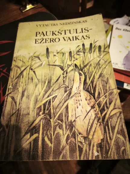 Paukštulis - ežero vaikas