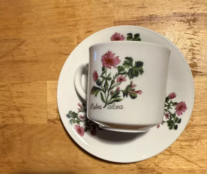 Puodelis su lėkštute "Dedešva"