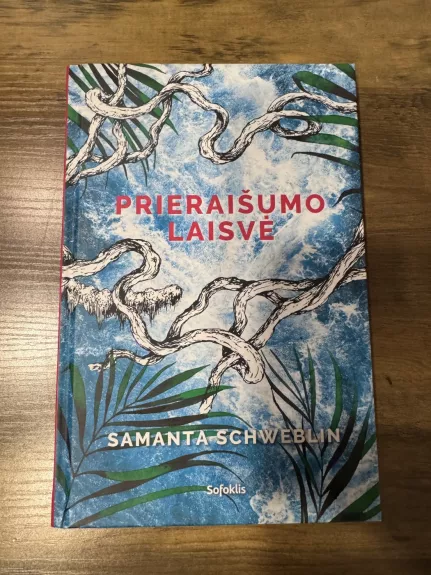 Prieraišumo laisvė