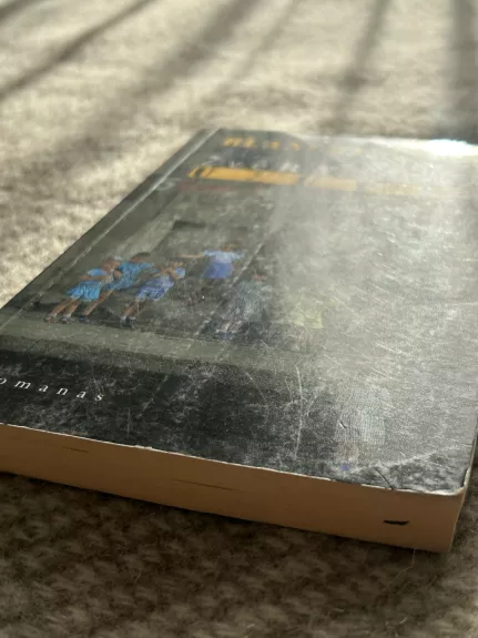 Blanchisserie, arba Žvėrynas-Užupis