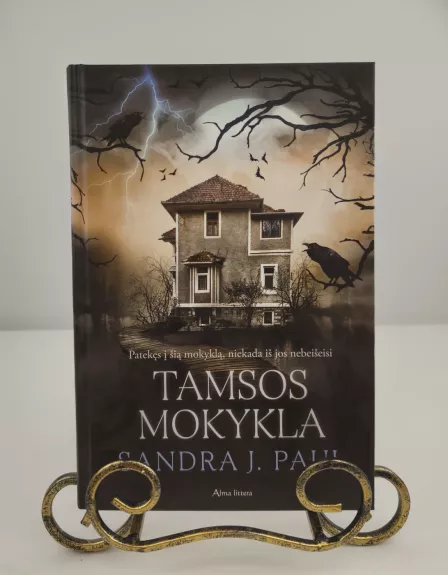 Tamsos mokykla. Pirmoji serijos „Varnų kaimas“ knyga