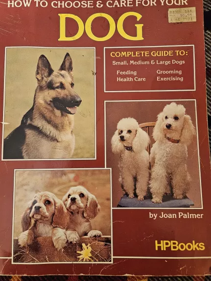 Kaip išsirinkti savo šuniui tinkamą priežiūrą