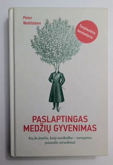 Paslaptingas medžių gyvenimas: ką jie jaučia, kaip bendrauja, – neregimo pasaulio atradimai