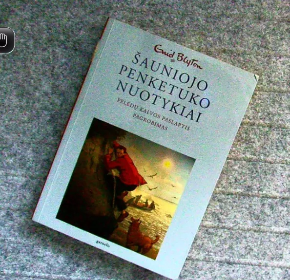 Šauniojo penketuko nuotykiai. 4 knyga. Pelėdų kalvos paslaptis. Pagrobimas