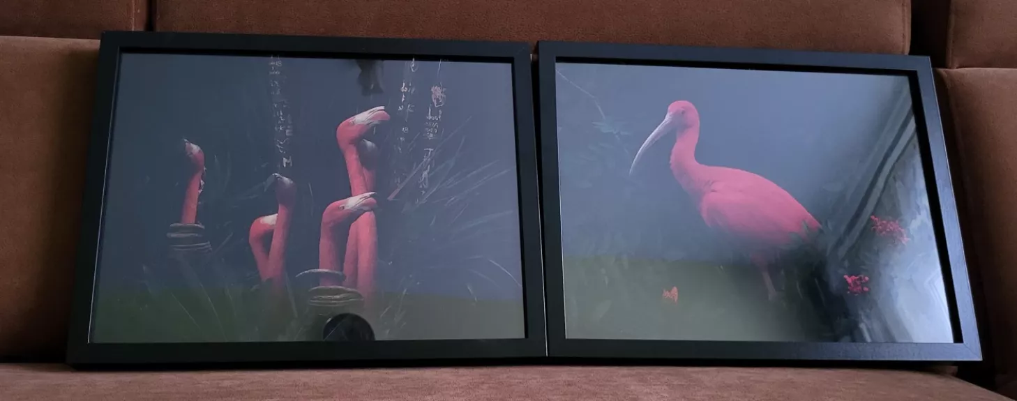 Paukščių motyvų plakaitai