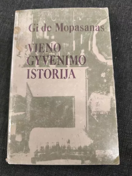 Vieno gyvenimo istorija