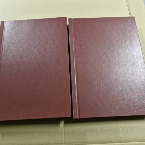 LAIKRAŠTIS XXI AMŽIUS 2004m.