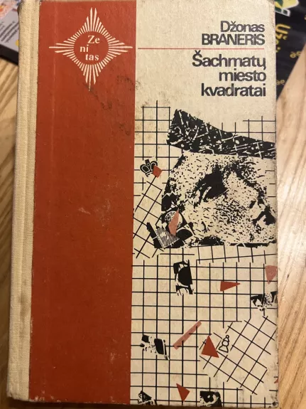 Šachmatų miesto kvadratai