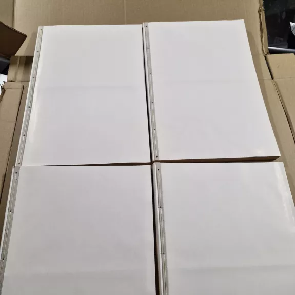 LAIKRAŠTIS XXI AMŽIUS 2002m.