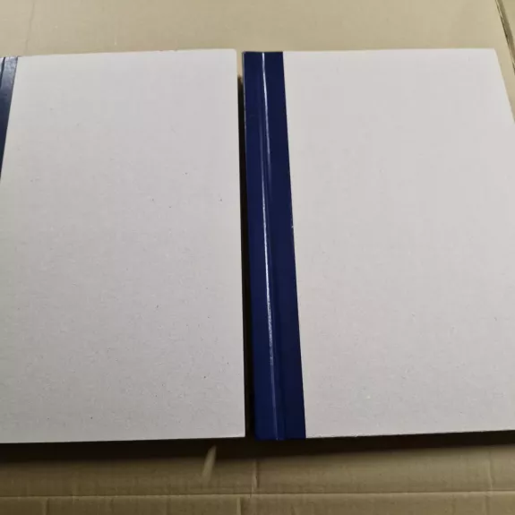 LAIKRAŠTIS XXI AMŽIUS 2005m.