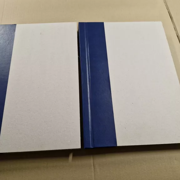 LAIKRAŠTIS XXI AMŽIUS 2010m.