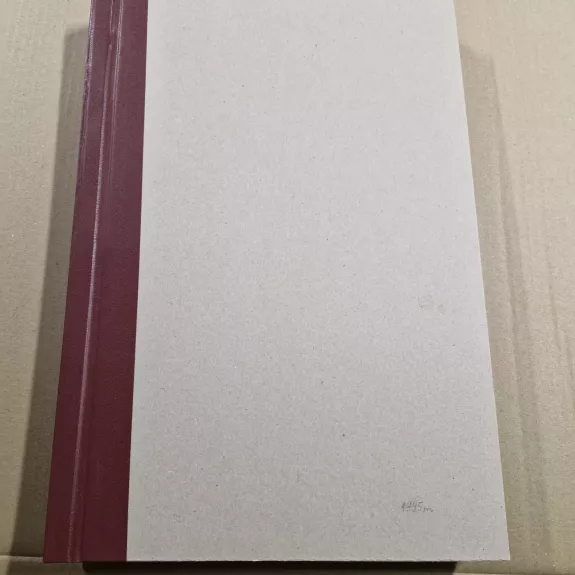 LAIKRAŠTIS XXI AMŽIUS 1995m.