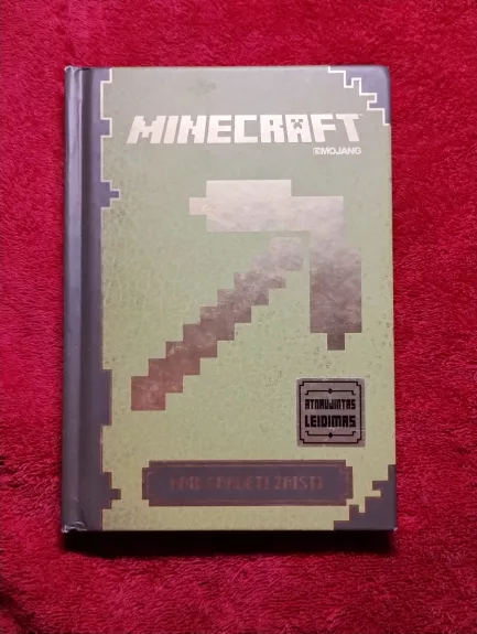 Minecraft. Kaip pradėti žaisti