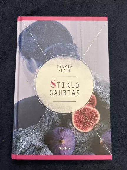 Stiklo gaubtas: romanas