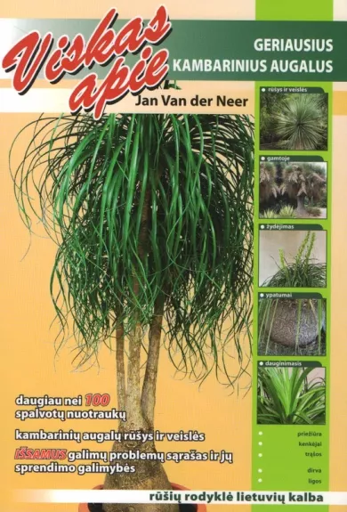 Viskas apie geriausius kambarinius augalus