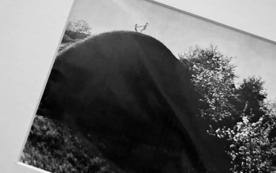 Romualdas Rakauskas Žydėjimas