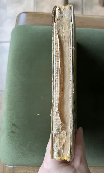 Danuko Dunduliuko nuotykiai