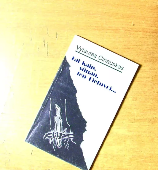 Tai kaip, sūnau, ten Lietuvoj...