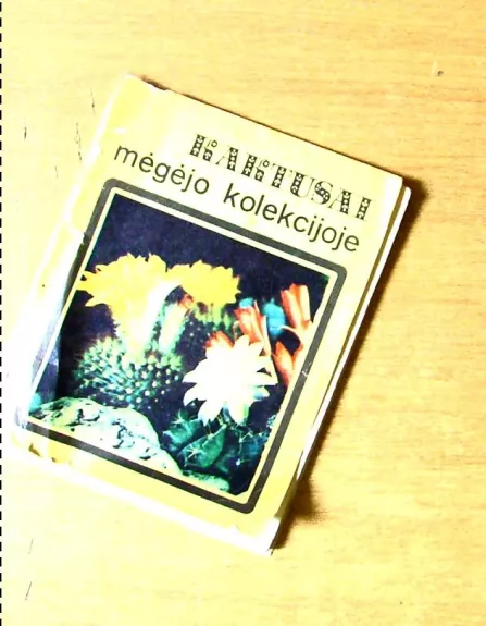 Kaktusai mėgėjo kolekcijoje