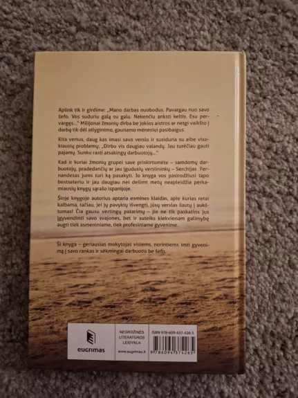 Gyvenu be šefo: ši knyga paskatins tave pamėgti savarankišką darbą