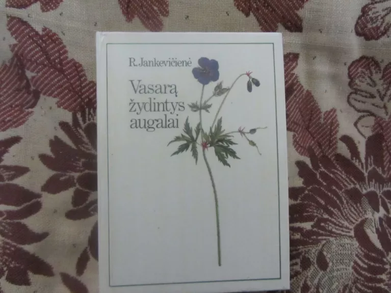 Vasarą žydintys augalai