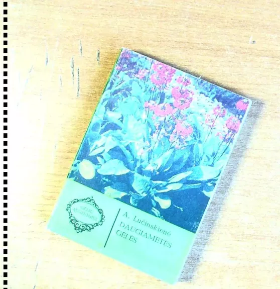 Daugiametės gėlės