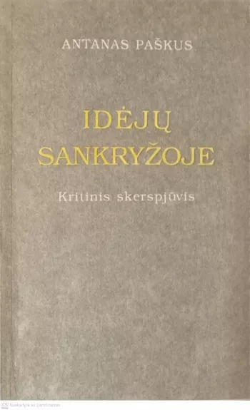 Idėjų sankryžoje: Kritinis skerspjūvis