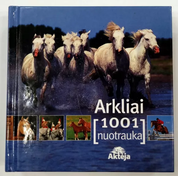 Arkliai. 1001 nuotrauka