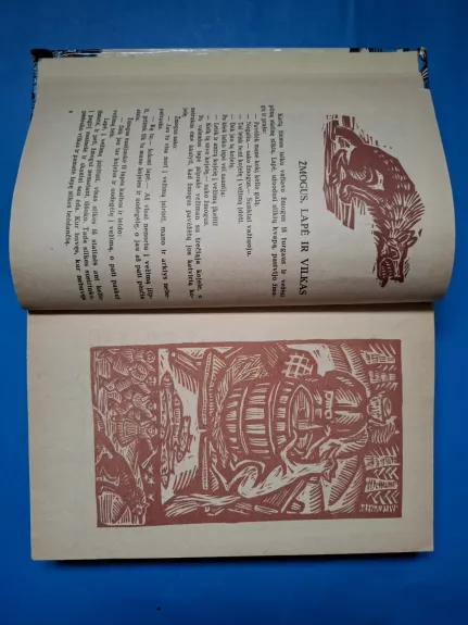 Gulbė karaliaus pati