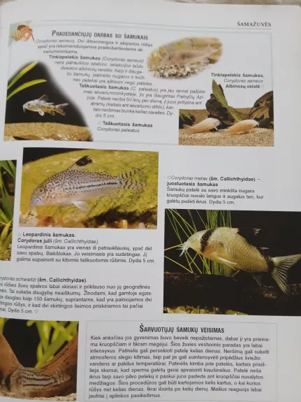 Didysis akvariumo vadovas